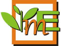 MERX ENERGY  SRL